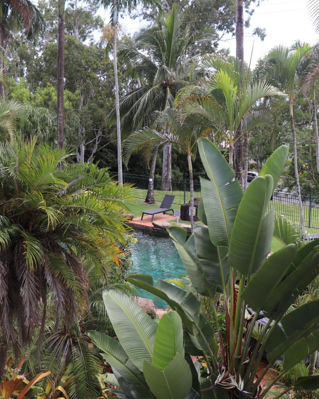 Colonial Palms Motor Inn Airlie Beach Exterior foto