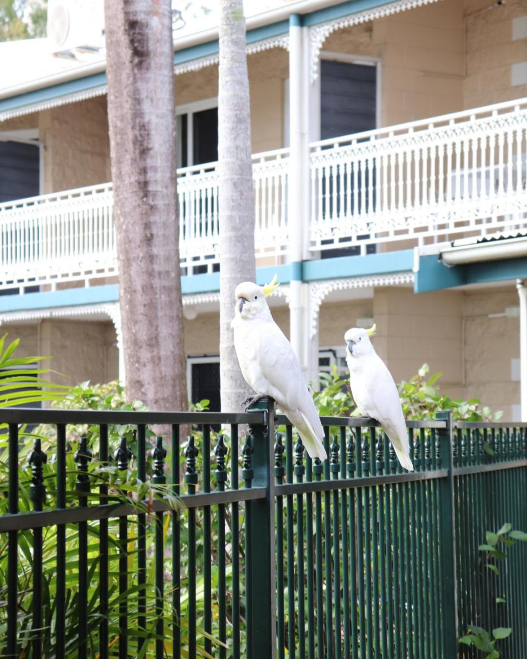 Colonial Palms Motor Inn Airlie Beach Exterior foto